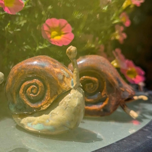 Snail photograph preview