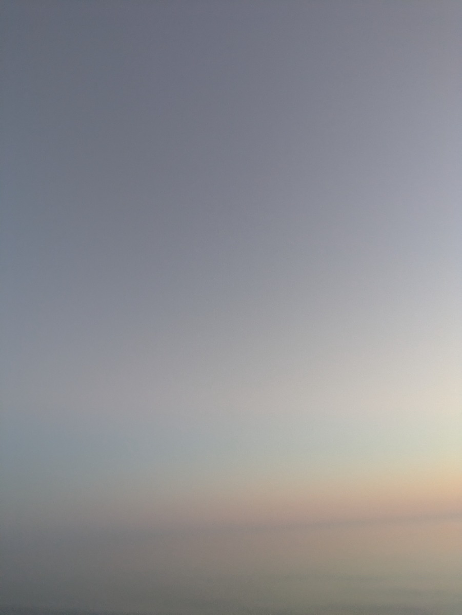 Fog1